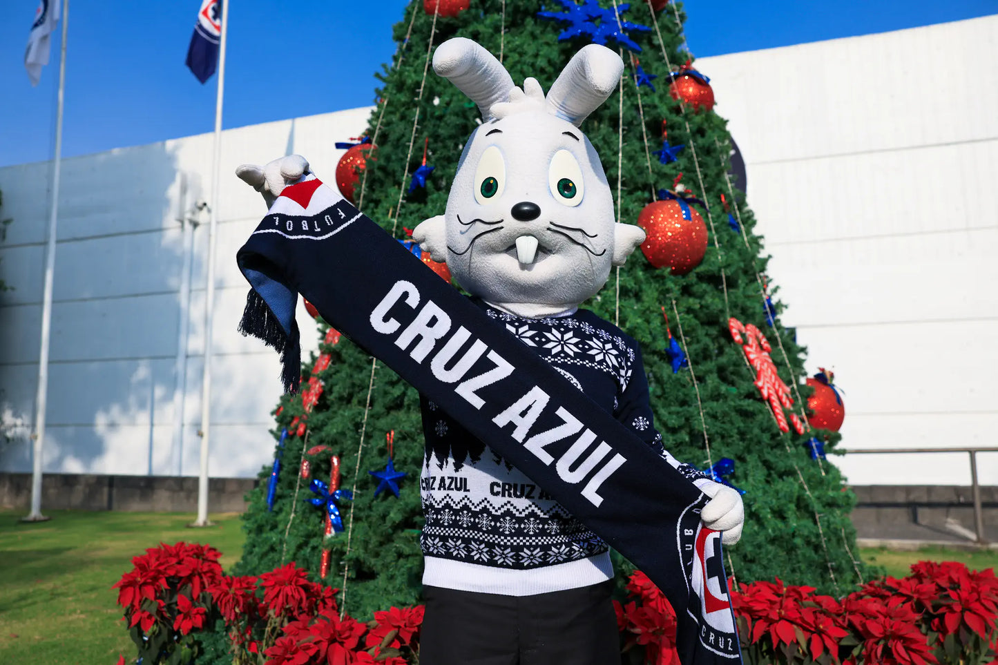 Bufanda Bicolor Cruz Azul.